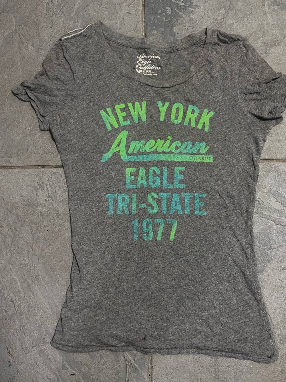 American Eagle Outfitters Women’s Gray Scoop Neck Tee with Green Graphic